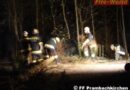Oö: Bei Unfall mit Pkw bei St. Thomas 30 cm dicke Fichte gefällt