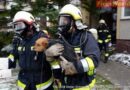 Nö: Wohnungsbrand in Baden -> Mehrere Tiere gerettet