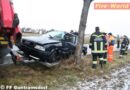 Nö: Fahrerseitig mit Auto in Guntramsdorf gegen Baum geschleudert