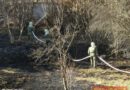 Nö: Böschungsbrand in Edlitz