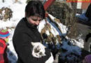 Oö: Katzenrettung aus Schacht in Micheldorf