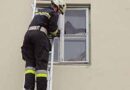 Nö: Falke in Kastenfenster gefangen
