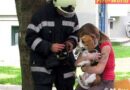 Stmk: Hund bei Küchenbrand in Graz von Feuerwehr gerettet