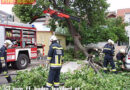 Nö: Sturm in Baden-Leesdorf -> Ast landete auf Pkw
