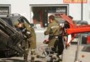 Stmk: Storchenbabyrettung durch die Feuerwehr Krieglach