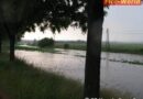 Bgld: Unwetter-Assistenzeinsatz der Feuerwehr Neusiedl am See