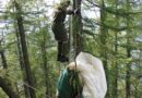 Stmk: Schweißtreibende Paragleiterbergung durch die FF St. Radegund