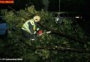 Nö: Sturmschäden in Schwechat