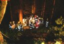 Stmk: Spektakuläre Personenrettung nach Fahrzeugabsturz in Aigen/E.