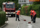 Vbg: 300 Meter Ölspur in Höchst