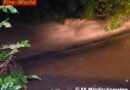 Oö: Mädchen unterkühlt aus dem Dambach gerettet