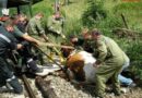 Nö: Tierrettung in Wirts -> Trächtige Kuh stürzte 70 m ab