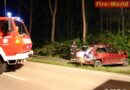 Nö: Pkw bei Tulln im Auwald gelandet