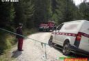T: Vw Bus drohte nach Ausweichmanöver abzustürzen