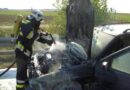 Nö: Fahrzeugbrand auf der Ostautobahn in Fischamend