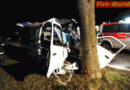 Nö: Kleinbus kracht frontal gegen Baum -> Lenker eingeklemmt