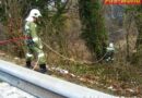 Bgld: Baumschnitt an der L223 bei Neustift/Rosalia
