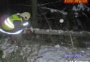 Nö: Baum durch Schneedruck auf Fahrbahn gestürzt