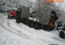 Bgld: Holztransporter-Bergung im tief verschneiten Wald in Wiesen