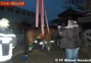 Nö: Zwei Feuerwehren bei Pferderettung gefordert