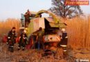 Oö: Hächslerbrand im Elefantengrasfeld in Alkoven