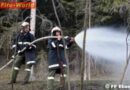 T: Grünflache aus unbekanntem Grund in Brand geraten