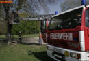 Nö: Jugendlicher blieb in Baum hängen -> Rettung durch die FF Krems