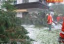 Oö: Schwere Unwetterschäden im Salzkammergut
