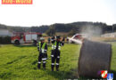 Bgld: Strohballen aus unbekannter Ursache in Brand geraten