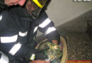 Stmk: BF Graz: Person unter Pkw und Katze bei Brand gerettet