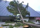 Ktn: Fichte stürzt durch Sturm auf Wohnhaus