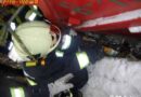 Oö: Katze unter Grünschnittcontainer befreit