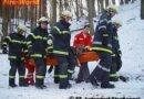 Stmk: Schwerer Unfall bei Schlägerungsarbeiten