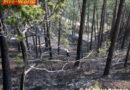 T: Zwei Hubschrauber bei Waldbrand in Roppen im Einsatz