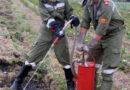 Bgld: Kübelspritzen-Einsatz bei Flurbrand in Bad Sauerbrunn