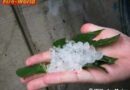 T: 42 Einsätze an einem Tag