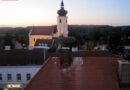 Nö: Spektakuläre Rettung eines Storches beim Gasthaus Loderer