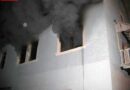 Oö: Drei Katzen bei Wohnungsvollbrand verendet