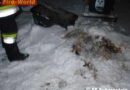 Oö: Brandmeldeanlage verhinderte größeren Schadensfall