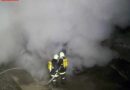 Nö: Lagercontainer bei Brand komplett zerstört