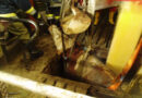 Oö: 650 kg schwerer Stier stürzte in Schwemmkanal