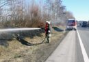 Oö: 25m Böschung auf der A8 brannten