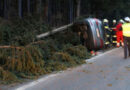 Ktn: Mit Pkw bei St. Paul im Gailtal Baum ausgerissen