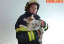 Oö: Wohnungsbrand in Steyr – Katze konnte gerettet werden