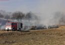Bgld: Flurbrand zwischen Mattersburg und Forchenstein