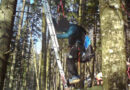 Oö: Paragleiter hängt in Baum -> Rettung durch Feuerwehr aus luftiger Höhe