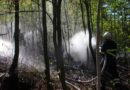 Oö: Waldbrand von drei Feuerwehren bekämpft