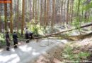 Stmk: Ostern 2011 – Einsatzbilanz der Feuerwehren aus Graz-Umgebung