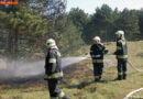 Nö: Kleinflächiger Waldbrand von Anrainern entdeckt
