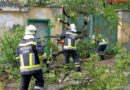 Nö: Unwettereinsatz – Baum stürzt gegen Tor, dann auf Straße